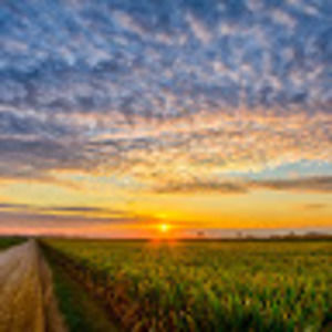 Meet your Posher, Mrs. McConnell